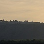 Vista a partir de um barco em frente do ponto de Maragojipe